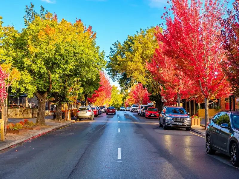 A vibrant autumn scene in Hahndorf, South Australia, showcasing the charming main street lined with colorful foliage and local shops.