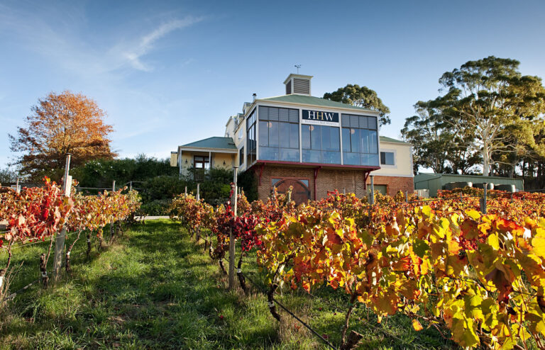 Autumn season at Hahndorf Hill Winery