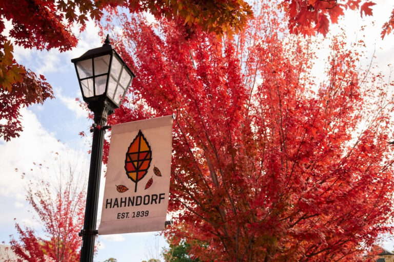 Autumn leaves and a street sign in Hahndorf